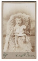 Photograph H. Joseph & Co., Berlin-Rixdorf, portrait cute toddler in the We
