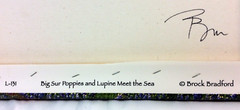 Lot of 2 BROCK BRADFORD Photographs Printed on Canvas ~ Big Sur ~ Ready to Hang