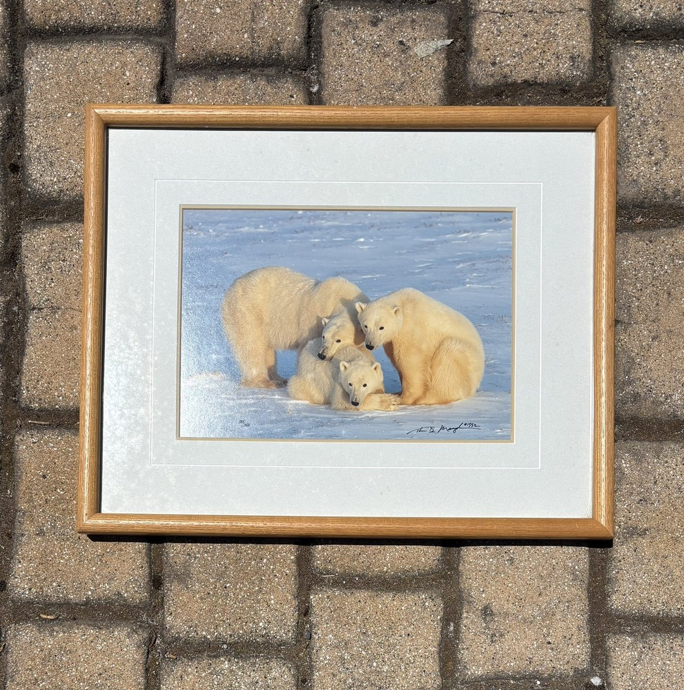 Thomas Mangelsen, Winter Solace, Polar Bears, Signed, Limited Edition