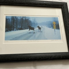 “Moose Crossing” Custom Framed Photo of Moose in Vermont (2000, Original Print)
