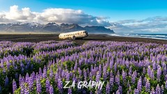 Digital Image Picture Photo Wallpaper Background Desktop AI Art Sample Product