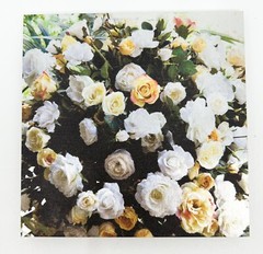 Nancy Reid Carr Art & Photography Metal Photo Print Garden Roses Signed Floating