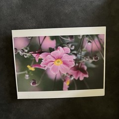 Floral Photograph Artwork Lot of 2
