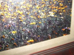 Thomas Mangelsen «Tapis Magique» Original Photograph 22″x68″ 736/2500 Flowers