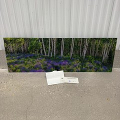 Peter Lik «Aspen Impressions» Trees 150cm (5 Feet Long) Recess Mount With COA