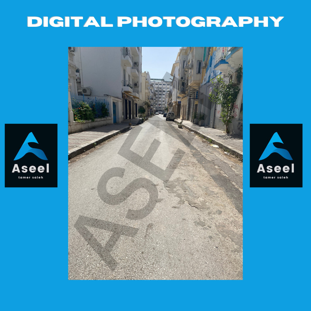 Serene Urban Landscape – Tunis City Street View 2022, Digital Photography- st003