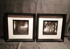 2 Modern Black & White Photography Trees Minimalist Moody 11.25 » Square Frames