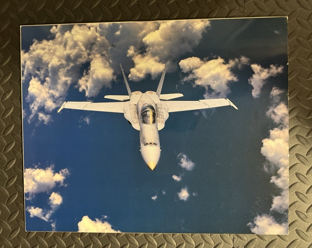 MCDONNELL DOUGLAS * F-18 HORNET * U.S. NAVY * U.S. MARINES * 20″ x 16″ PHOTO