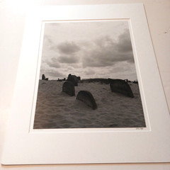 Andy Katz Karczew Poland Jewish Cemetery Silver Gelatin Photograph Signed LE