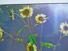«Sunny Sunflowers» 8″ x 10″ Photograph by Moda Monterotti , Los Angeles, Ca.