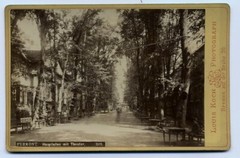 Pyrmont Main Avenue with Theatre Old Large Photo on Cardboard by Louis Koch