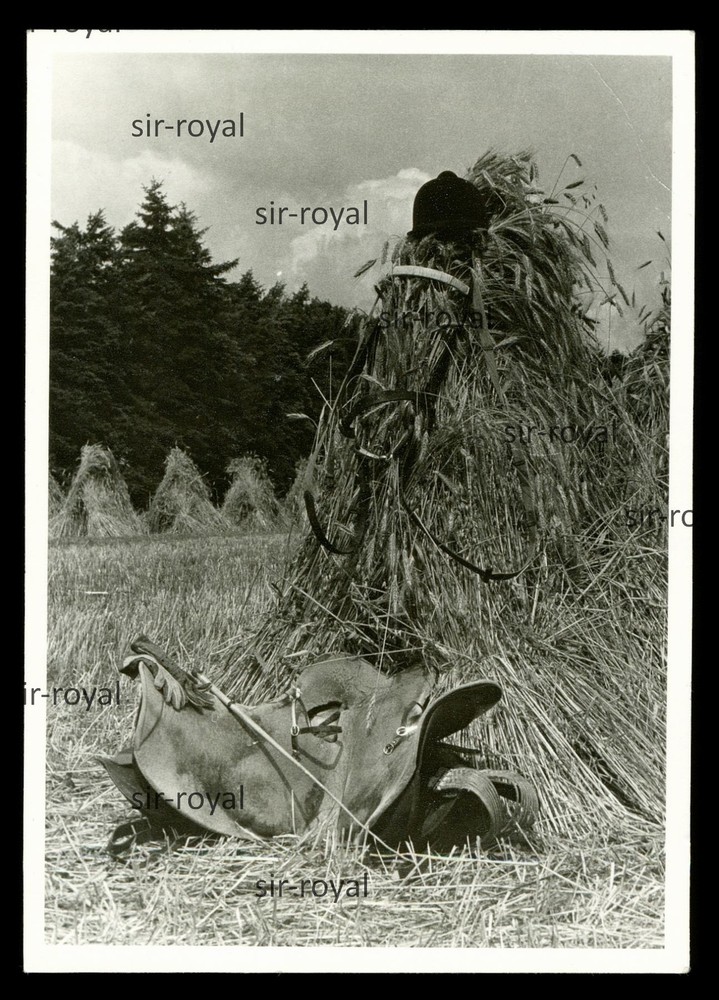 Horse saddle and riding helmet in front of haystack – photo postcard 11x15cm
