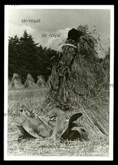 Horse saddle and riding helmet in front of haystack – photo postcard 11x15cm