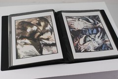 Photo Album – FISH MARKET Art Original Photography 40 – 5″ x 7″ Art Prints