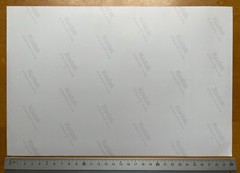Photo 30x20cm – Imperial Era Officers Group Photo Military Uniforms Saber Studio