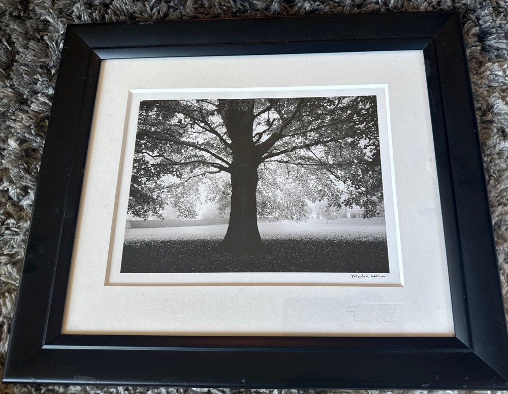 Martin Henson original black and white landscape tree photograph signed