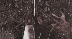 VIK MUNIZ ‘Shovel’, 1999 from ‘Pictures of Soil’ SIGNED Photograph Print 29″x23″