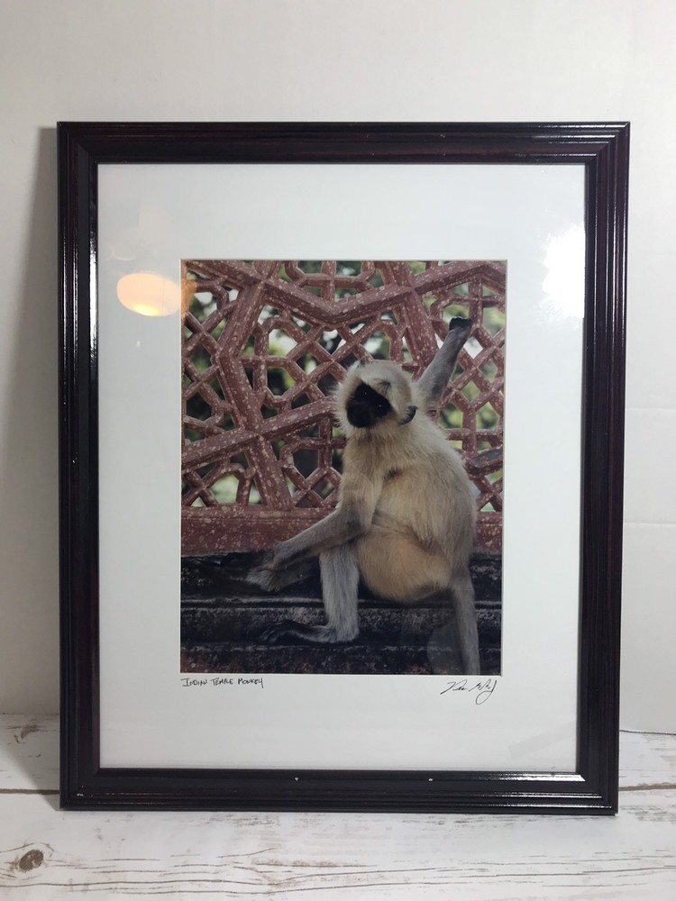 FRAMED PHOTOGRAPH – Indian Monkey Temple Signed 18 X 22