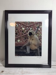 FRAMED PHOTOGRAPH – Indian Monkey Temple Signed 18 X 22