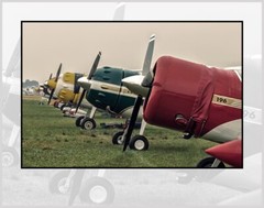 Cessnas Airplane Noses 11″ x 14″ Color Photograph (20210417000711×14)