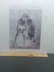 5##Photo negative film -Vintage- Kissing women – Lesbian couple – Love – Kiss