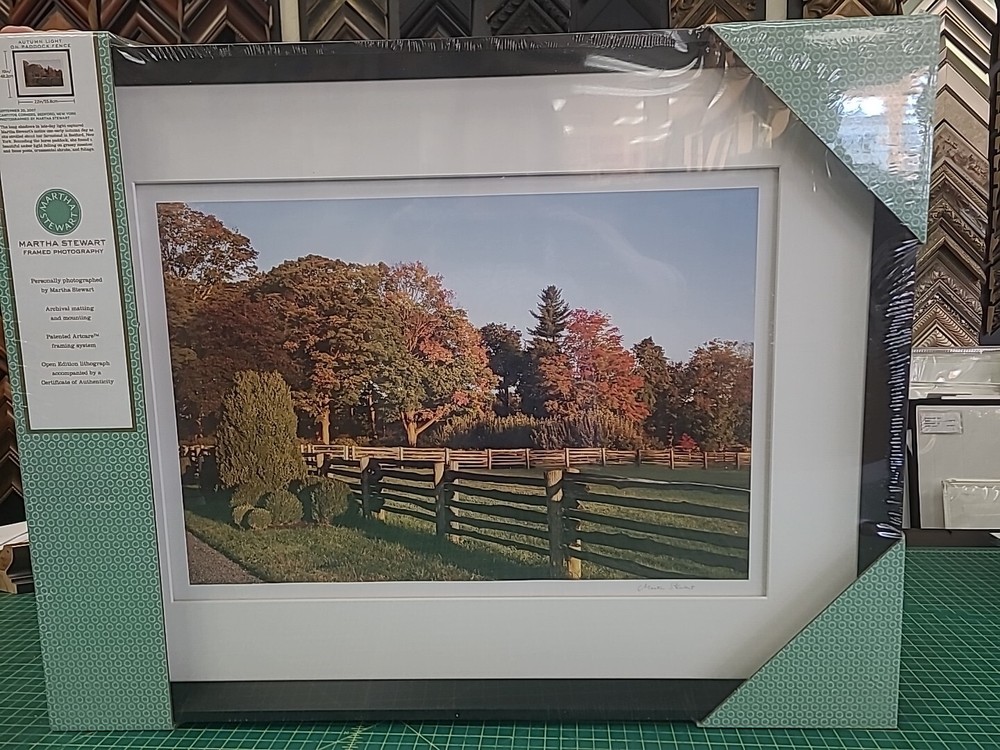 Martha Stewart »’SET OF 4 FRAMES OF YOUR CHOICE »’ NEW