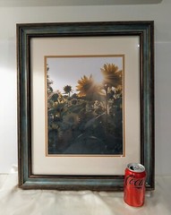 Picture Sunflowers Double Matted Teal Frame Signed Photography 19 x 22.5″ NEW