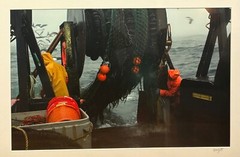Original SAM MURFITT ‘ Maine Lobsterman Fisherman Pulling Nets’ BOAT Photograph