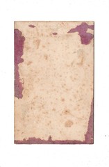 CDV Photo Fine Lady – Unknown Location 1860s