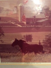 PRINT: AMISH #21″ON A SUNDAY EVENING» by BILL COLEMAN