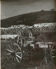 JOHN HALEY RARE CALIFORNIA CA CALIF LISTED PHOTOGRAPH MODERNISM Black and White