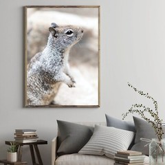 Cute Squirrel Close Up Photo Wall Print, Wildlife Nature Photography Yosemite NP