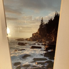 Sunrise Otter Cliffs Acadia Nation Park Photograph By Alan Hoelzle