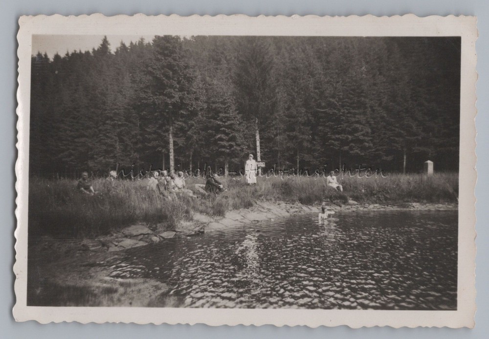 Dam Pressnitz Orpus Mezilesí u Přisečnice Bohemia Czech Republic I – Photo 1930s