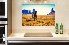 Monument Valley Horse – Utah Fine Art Photography by Bear8Photo – Desert Décor