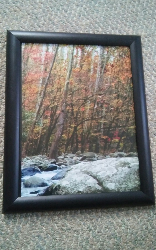 016 Framed Photogaph 12.5×10 Fall Forest River Rocks