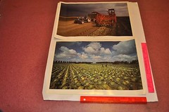 The Search for Food — Portfolio of 16 color photographs for Heinz | Jay Maisel