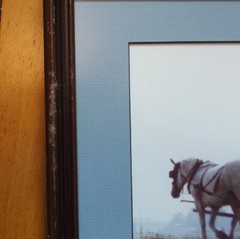 Framed Matted & Signed Amish on Hayraker? Photograph