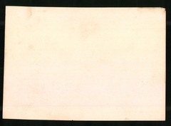 Photograph German South West Africa / Namibia, Palm Forest near Grood Fountain