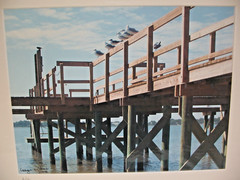 MATTED PHOTOGRAPHY Under The Pier Color Photo AP 12×15 Color by Larry Santucci