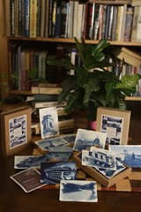 🎁 Set 13: All Handmade Photographic Cyanotype Greeting Cards Set of 12pcs 🎁
