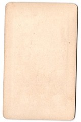 Photograph lithograph F. Rau jr., Frankfurt, view Frankfurt / Main, the Lu