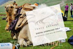 Digital Image Download – Background Wallpaper, Pets T16
