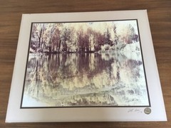 Vintage Art Gore Photograph – Original Print – Artist Signed