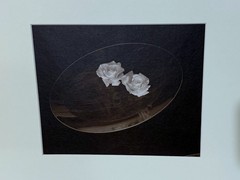AMERICAN ARTIST ROBERT J. STEINBERG SIGNED DATED PHOTOGRAPH – «TWO WHITE ROSES»