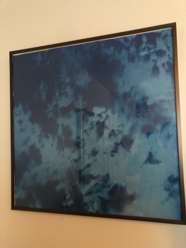 Tom Fels cyanotype Chirstie’s auction photographer Atkins style