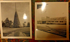 Vintage 1941 & 1943 Pasadena Photographs,The Christmas Tree Circle,Hinterlands
