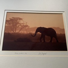 Kenja Sundown Ltd #48 Photography-Framed LE Print-“waitin’ D.K Langford
