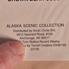 (3)Signed Tom Soucek Polar Bear Cub Photograph Anchorage Alaska (2) Walker/Bushu