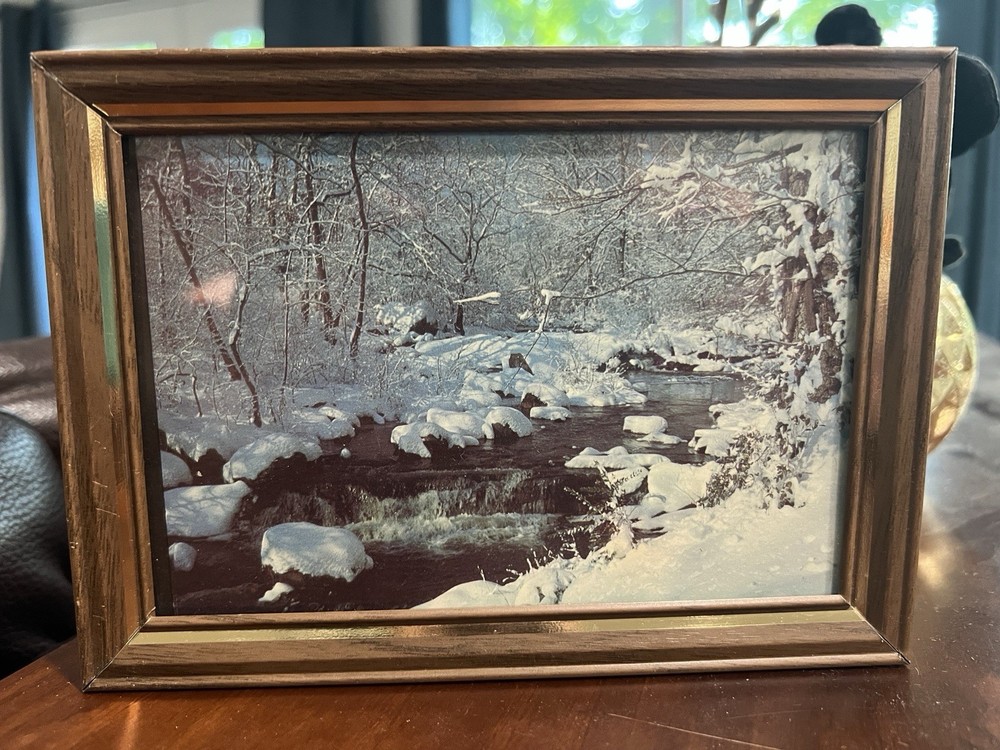 Vintage Winter scape Photo In Vintage Brown Metal frame